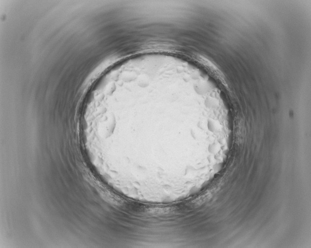 X0000059051419200511041651