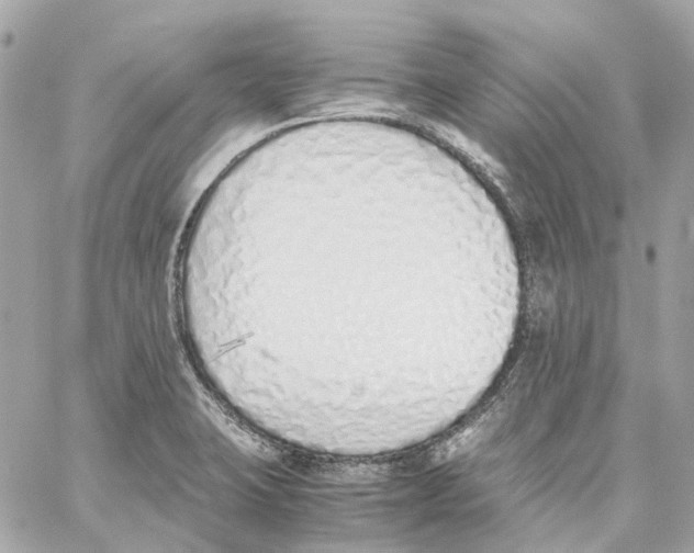 X0000059051423200511041651
