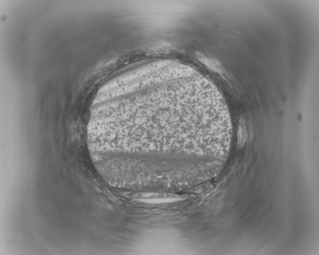 X0000059051445200511041650