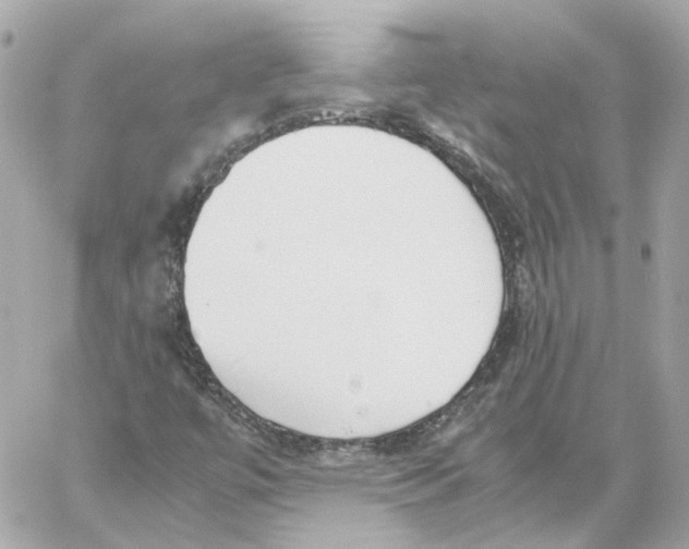 X0000059051447200511041650