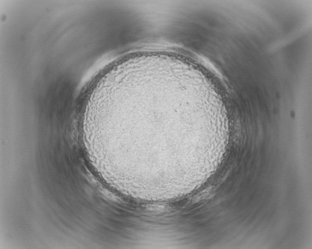 X0000059051456200511041650
