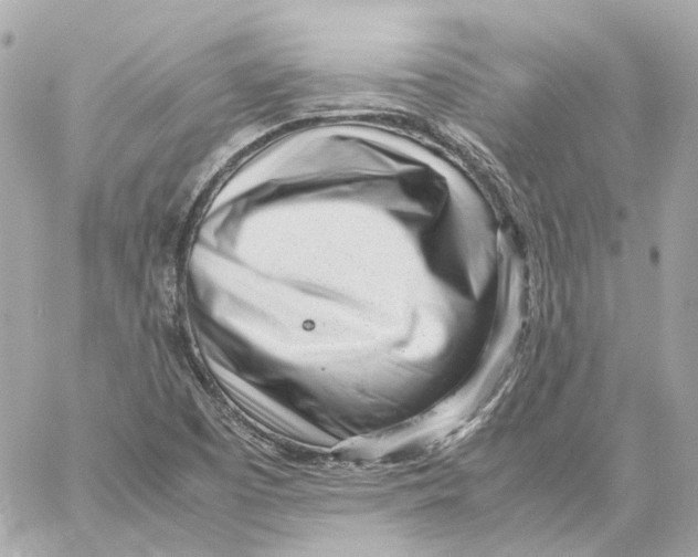 X0000059051457200511041650