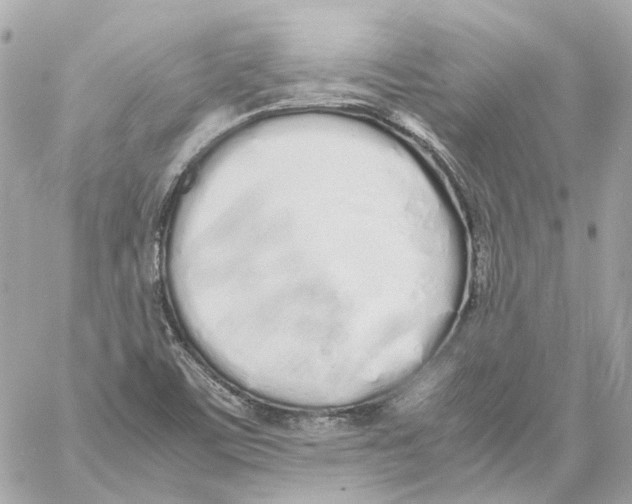 X0000059051459200511041650