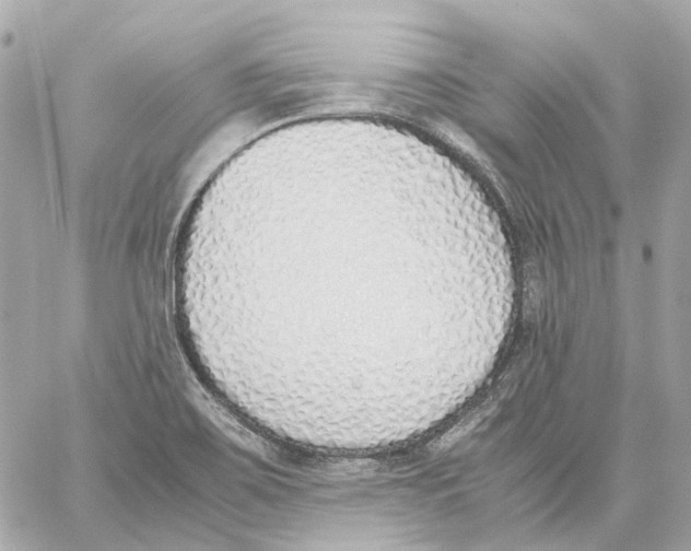 X0000059051467200511041650