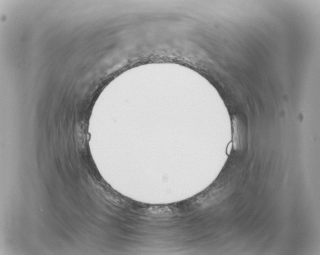X0000059051491200511041649