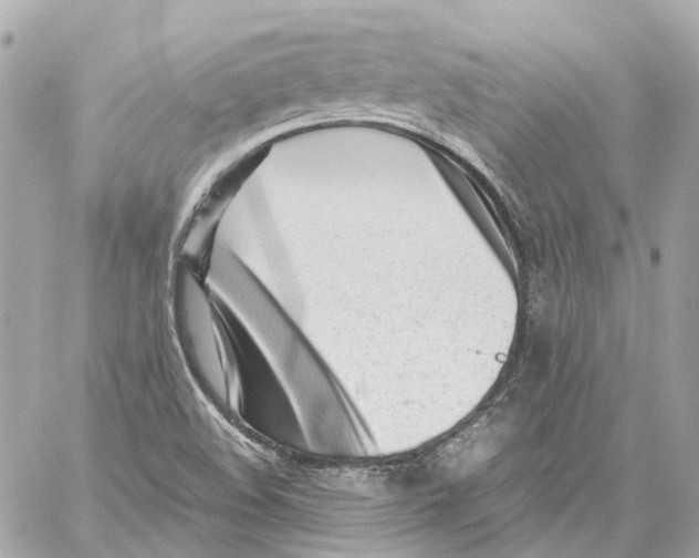 X0000059051508200511041649