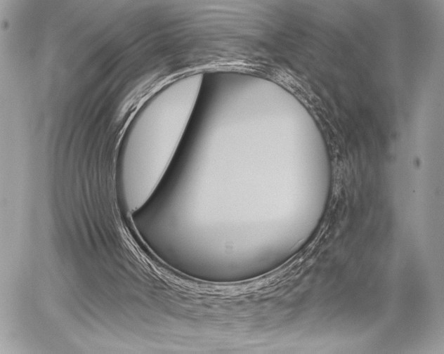 X0000059060002200510070838