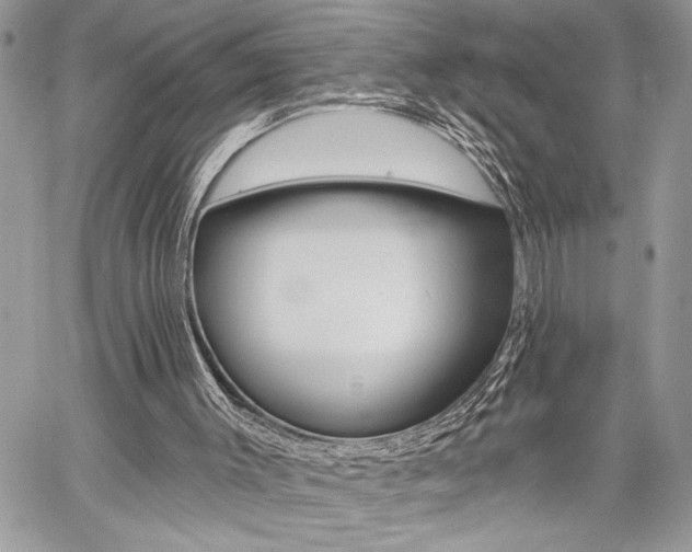 X0000059060003200510070838