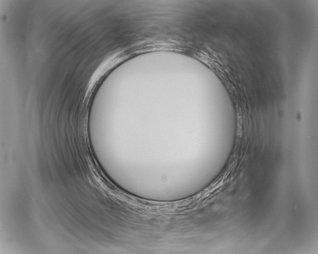 X0000059060004200510070838