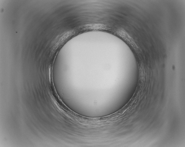 X0000059060014200510070838