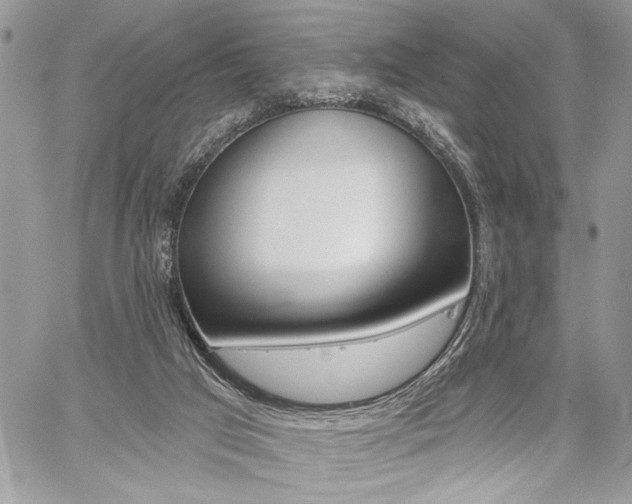 X0000059060017200510070838