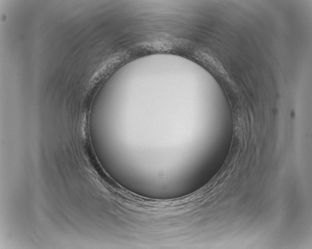 X0000059060023200510070838