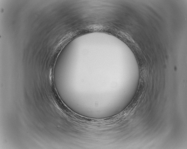 X0000059060024200510070838