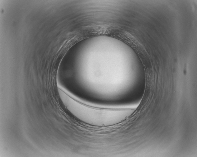 X0000059060035200510070838