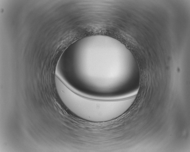 X0000059060039200510070838