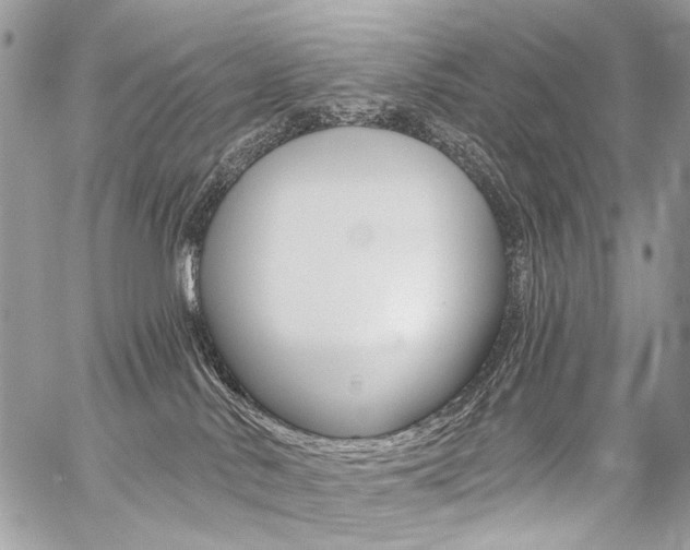 X0000059060042200510070838