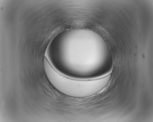 X0000059060045200510070838