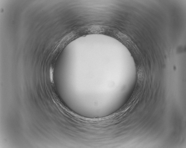 X0000059060046200510070838