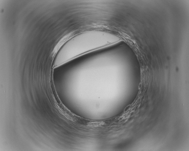 X0000059060051200510070837