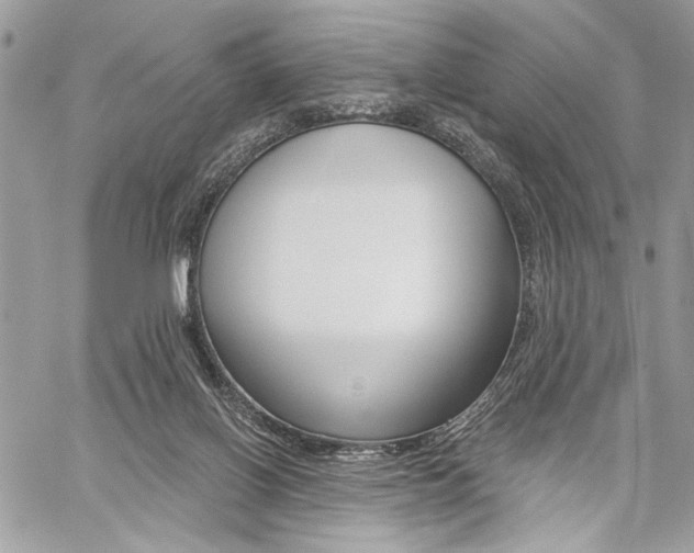 X0000059060070200510070837