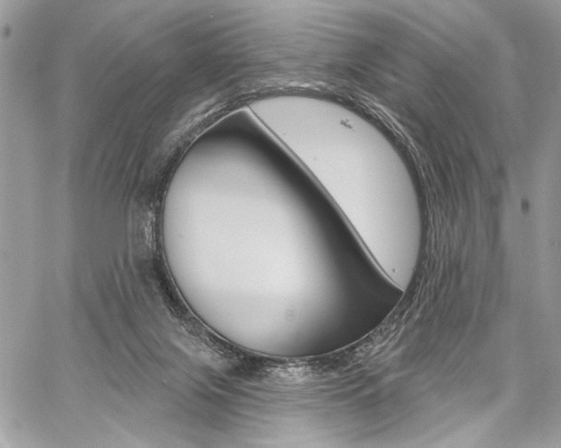 X0000059060071200510070837