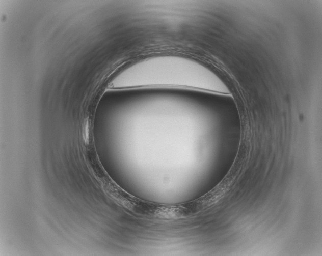 X0000059060076200510070837