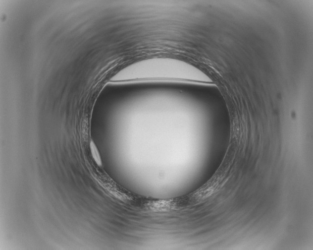 X0000059060092200510070838