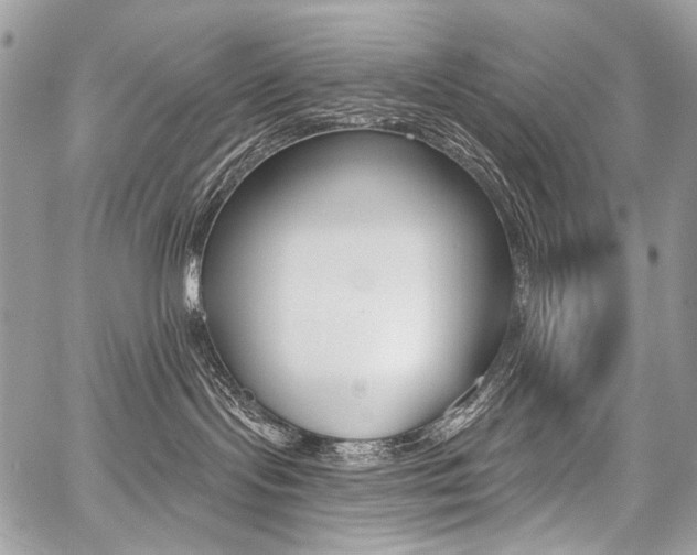X0000059060095200510070838