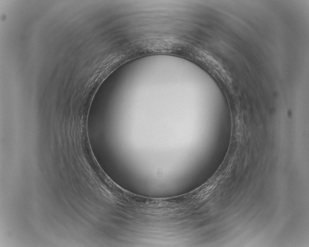X0000059060113200510070837