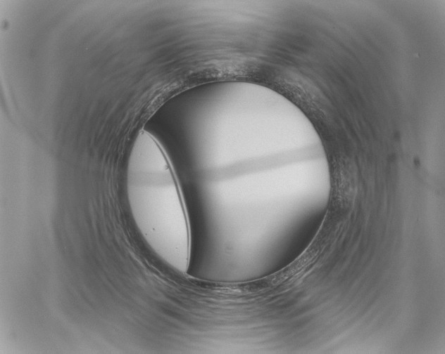 X0000059060123200510070836