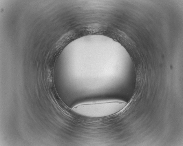 X0000059060136200510070836
