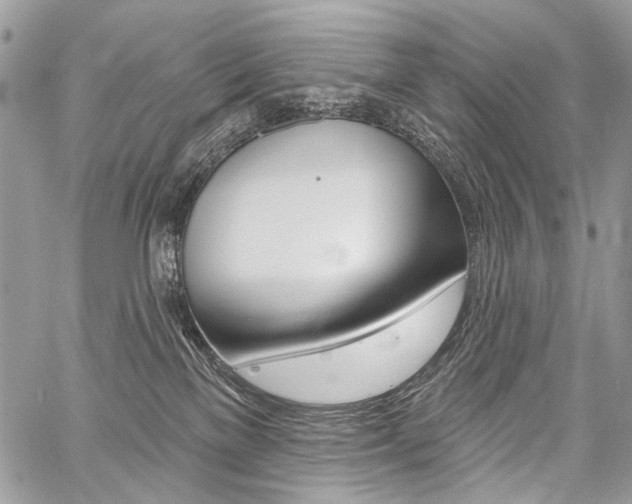 X0000059060137200510070836