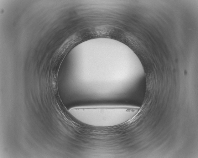 X0000059060140200510070836