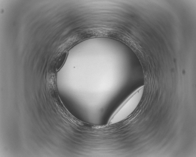 X0000059060141200510070836