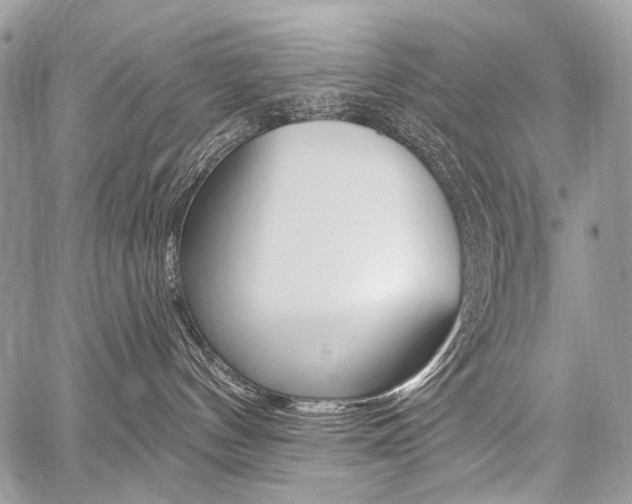 X0000059060144200510070836