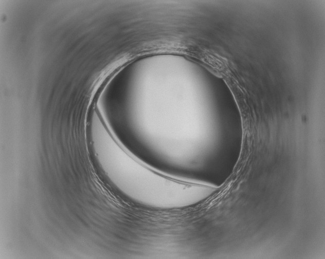 X0000059060148200510070835
