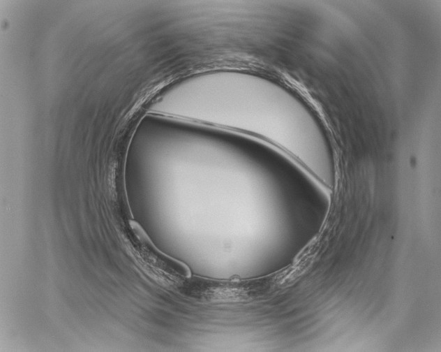 X0000059060154200510070835