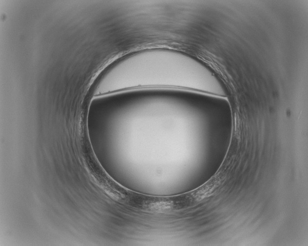 X0000059060156200510070836