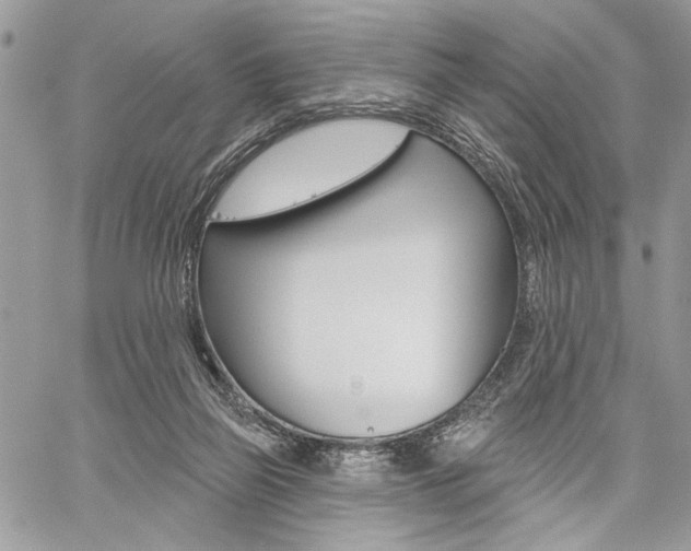 X0000059060165200510070836