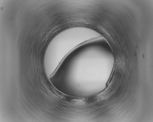 X0000059060170200510070836