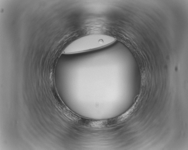 X0000059060178200510070836