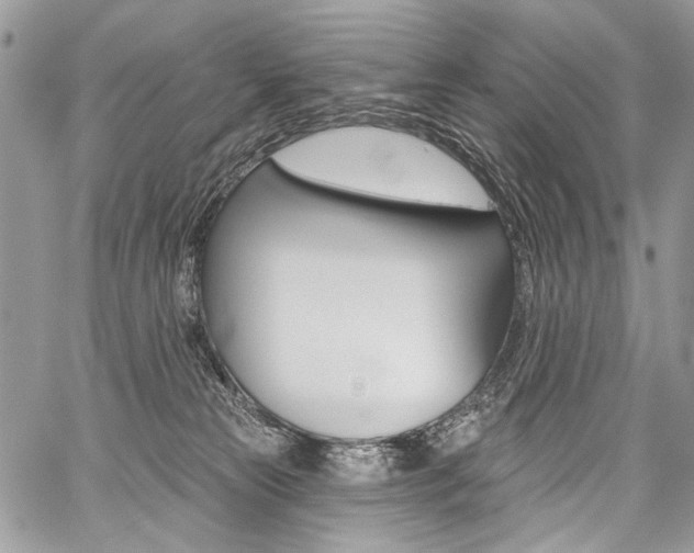 X0000059060181200510070836