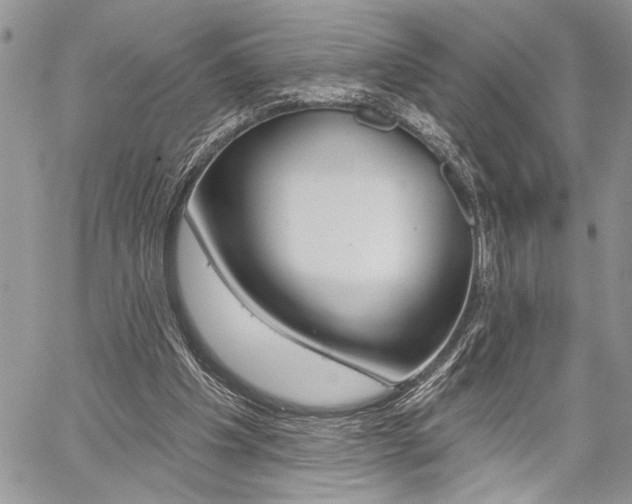 X0000059060201200510070835