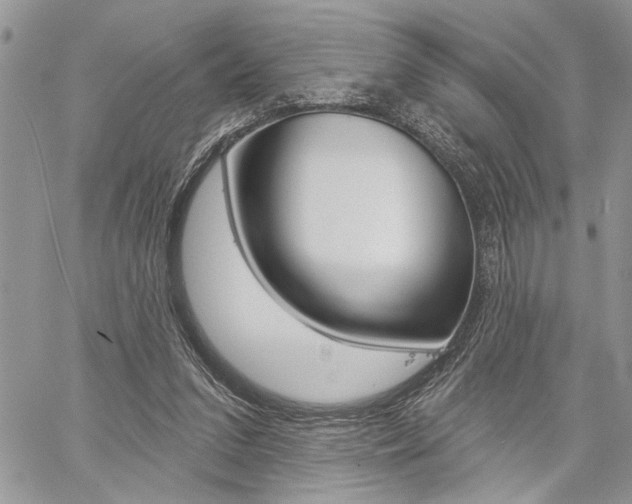 X0000059060207200510070835
