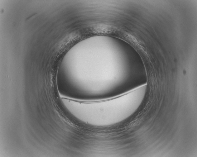 X0000059060211200510070835