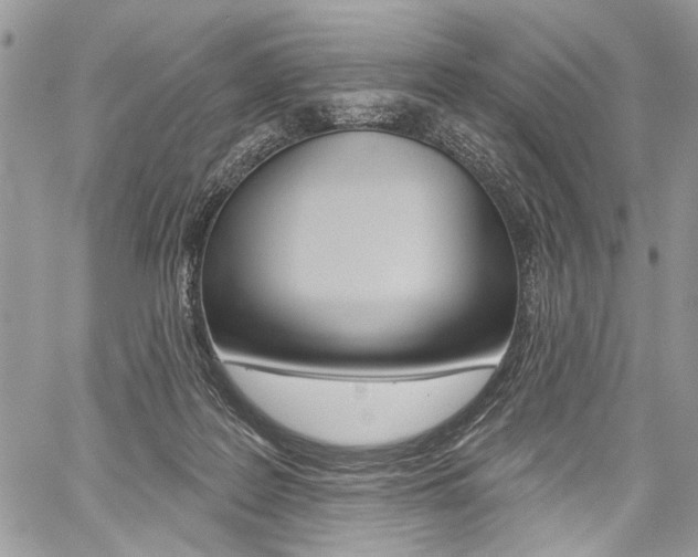 X0000059060219200510070835