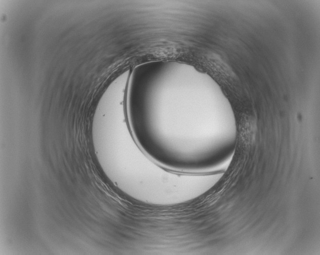 X0000059060233200510070835