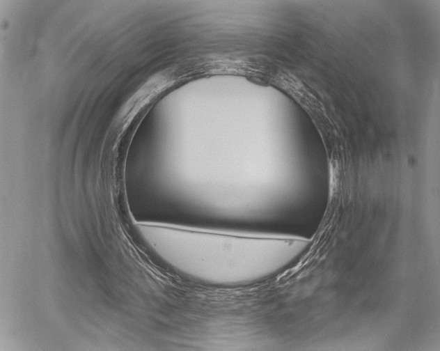 X0000059060291200510070834