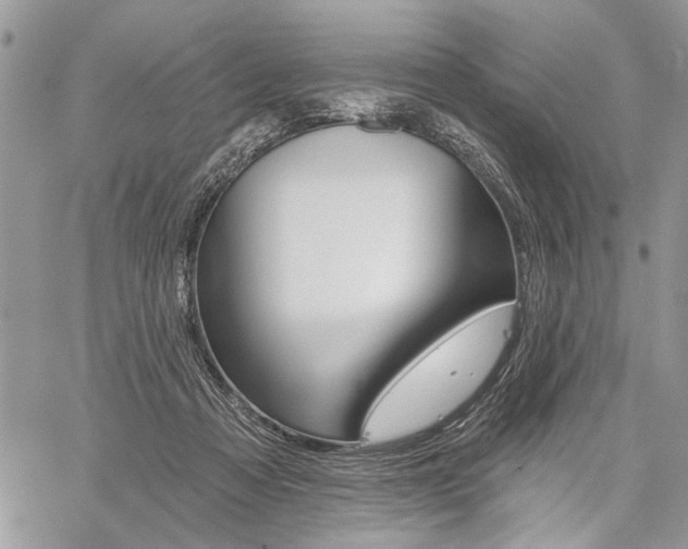 X0000059060313200510070833