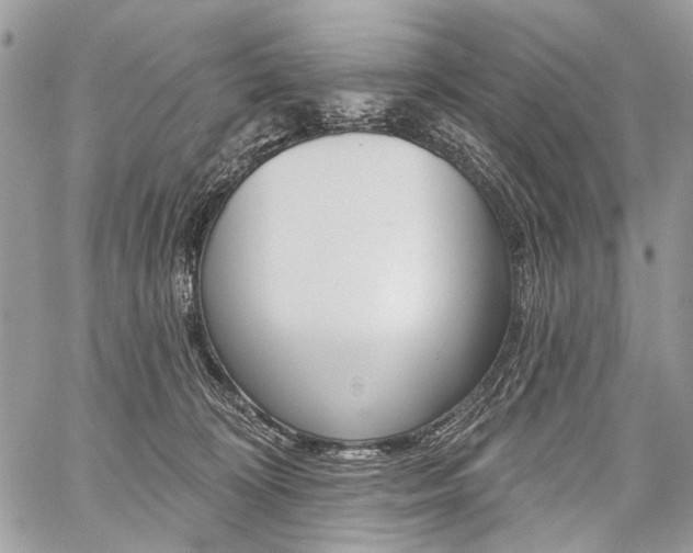 X0000059060324200510070833